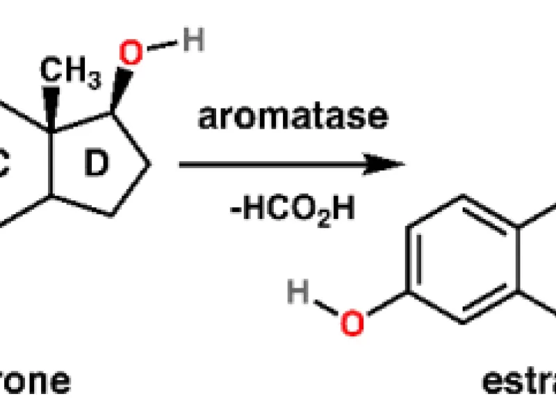 erkekler-icin-aromataz-inhibitorleri-dogal-ve-tibbi-urunler