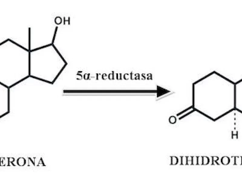 erkeklerde-dihidrotestesteron-fonksiyon-norm-ve-patoloji