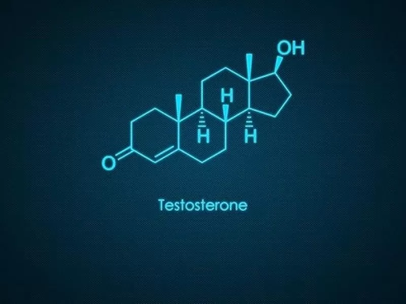 testesteron-ve-kardiyovaskuler-sistem