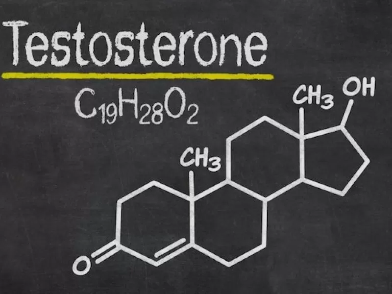 testesteronu-etkileyen-diger-hormonlar