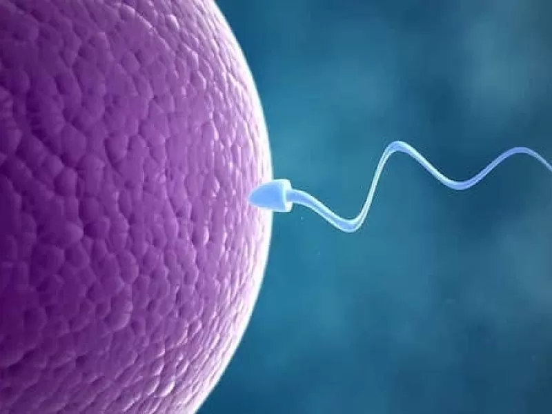 anabolizan-kullanimi-sonrasi-sperm-kalitesi-ne-olur