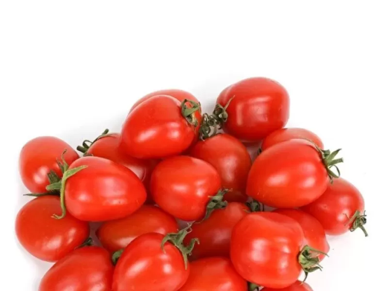 prostat savaçısı domates