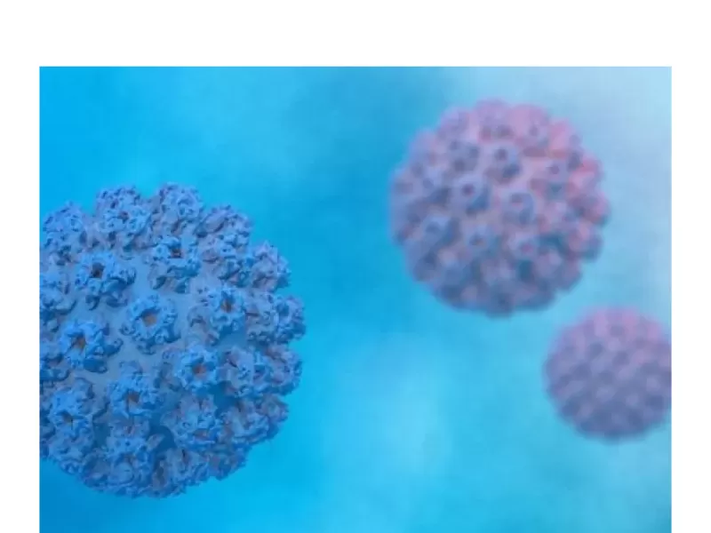 HPV