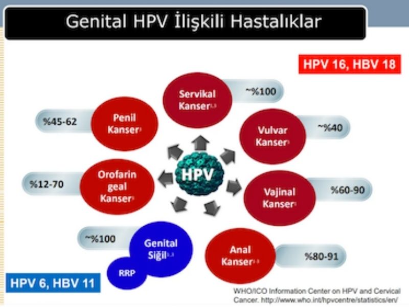 genital-sigiller-erkekte-kansere-yol-acar-mi