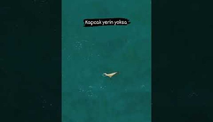 video,paylaşım,kameralı telefon,videofon,ücretsiz,yükleme
