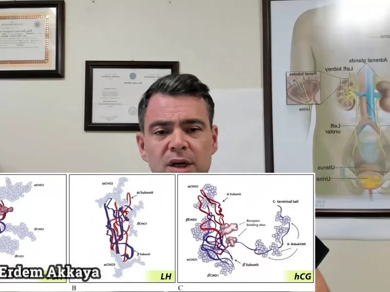 HCG,testosteron tedavisi,TRT,pregnyl,kısırlık,küçük penis,sertleşme bozukluğu,testosteron,choriomon,Penis büyütme,hormonla penis büyütme,doğal penis büyütme,Dr Ömür Erdem Akkaya,Manisa üroloji,Testosteron nedir